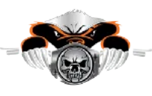 a close up of a logo