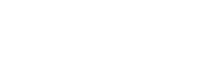 Custom Logo
