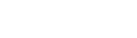 Custom Logo