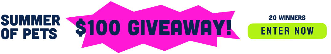 Alt text: Bright announcement for a $100 summer pet giveaway with 20 winners. Encourages viewers to enter now.